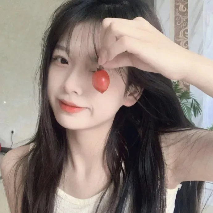 夏日之书2024