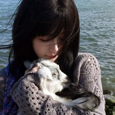 东野圭吾推理系列